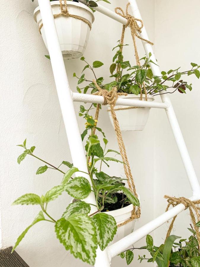 Flatsy At Botanichniy Sad Underground Apartment Harkiv Exterior foto